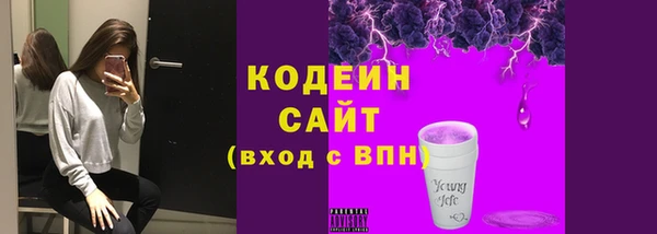 прущие крисы Инта