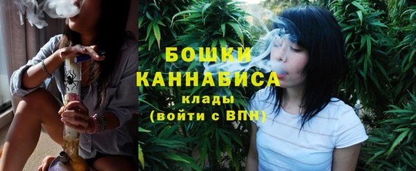 прущие крисы Инта