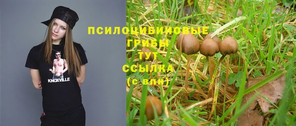 мдма Инсар