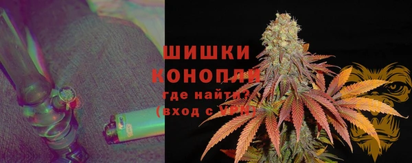 прущие крисы Инта