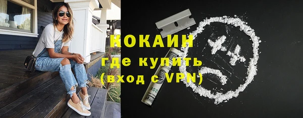 прущие крисы Инта